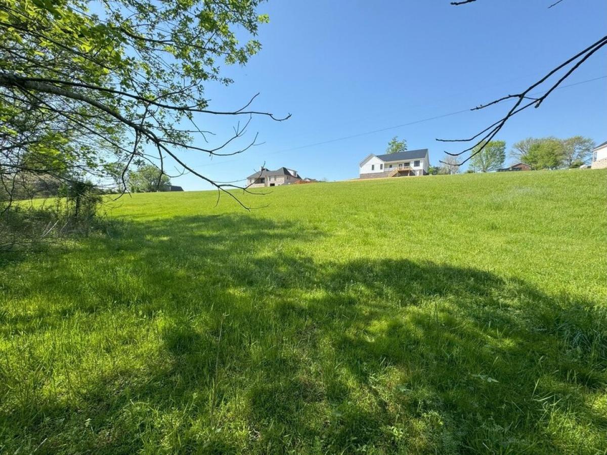 Picture of Residential Land For Sale in New Market, Tennessee, United States