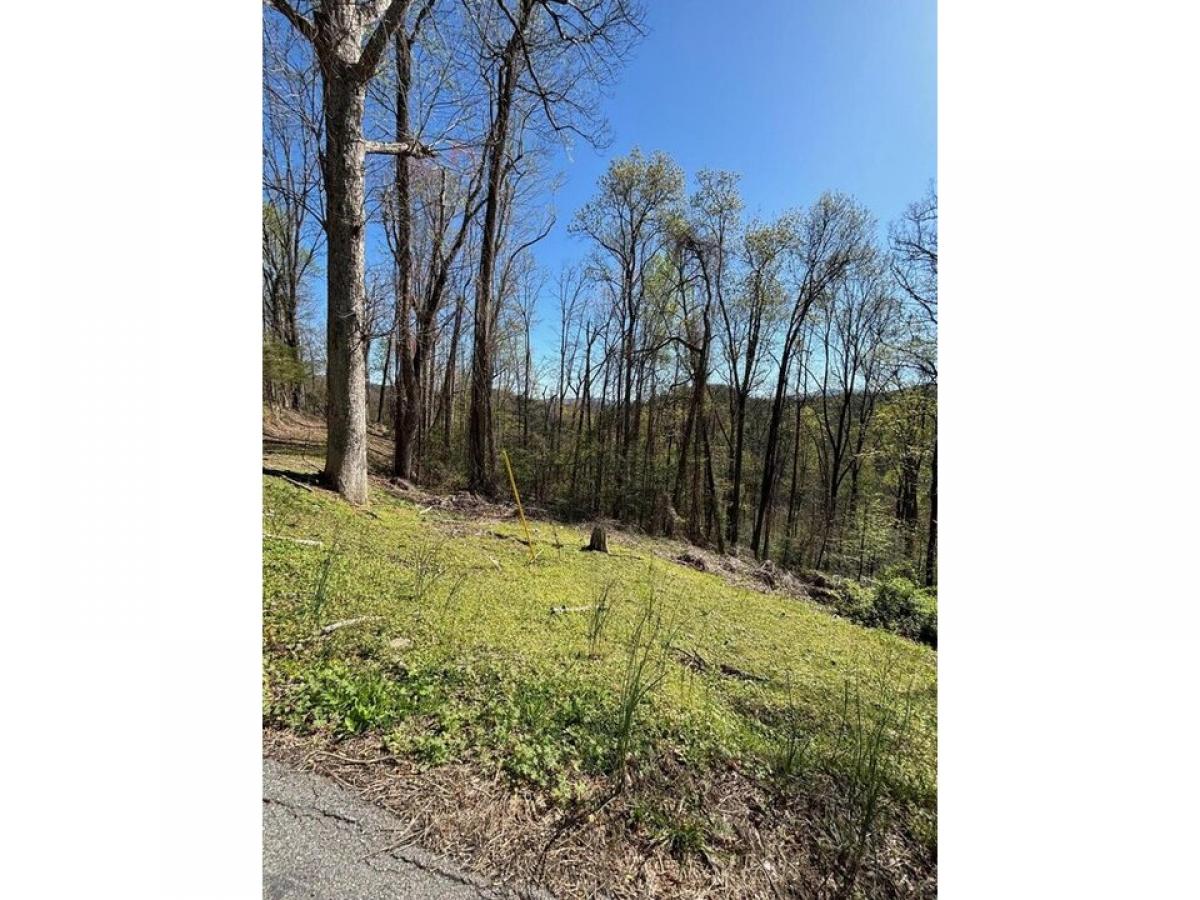 Picture of Residential Land For Sale in Gatlinburg, Tennessee, United States