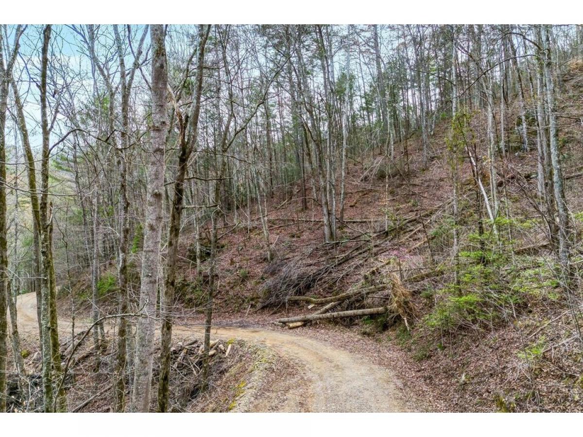 Picture of Residential Land For Sale in Sevierville, Tennessee, United States