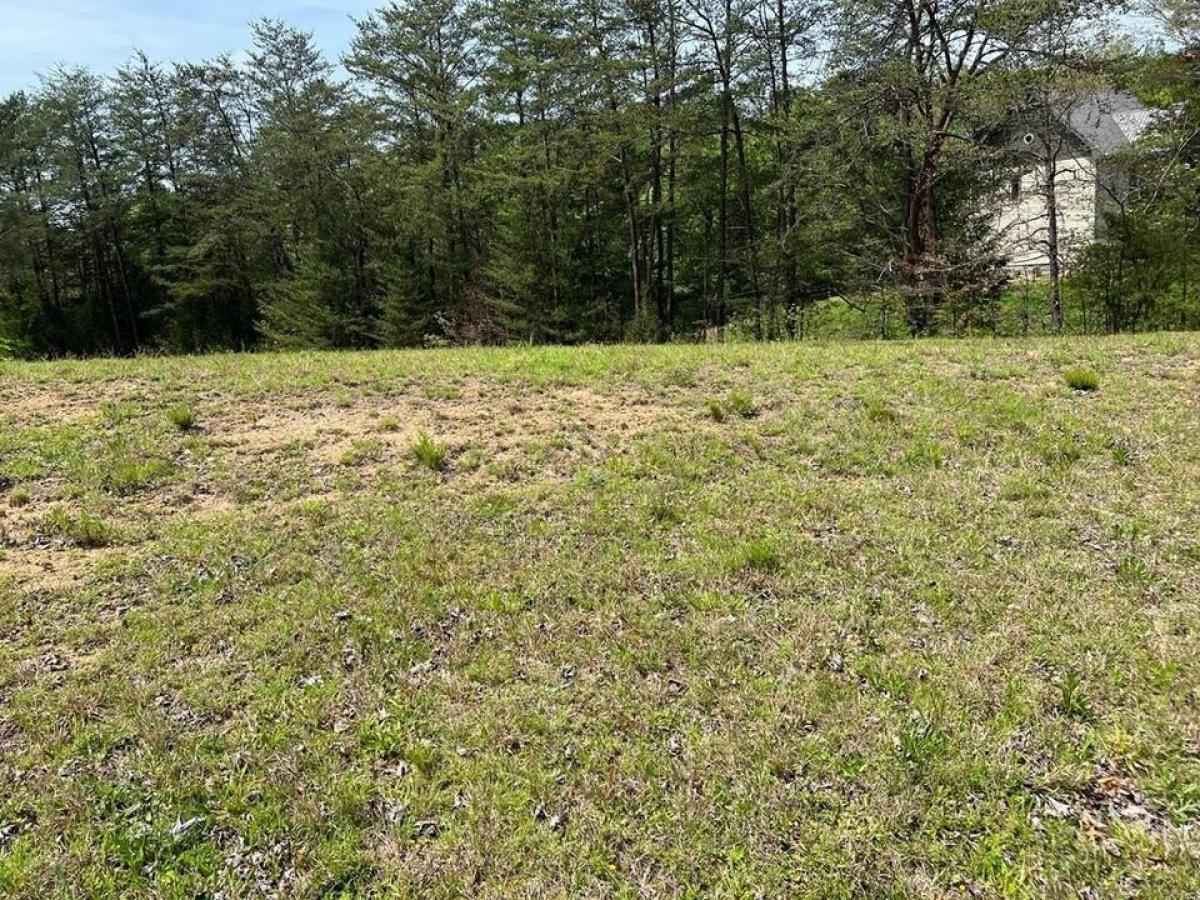 Picture of Residential Land For Sale in Sevierville, Tennessee, United States