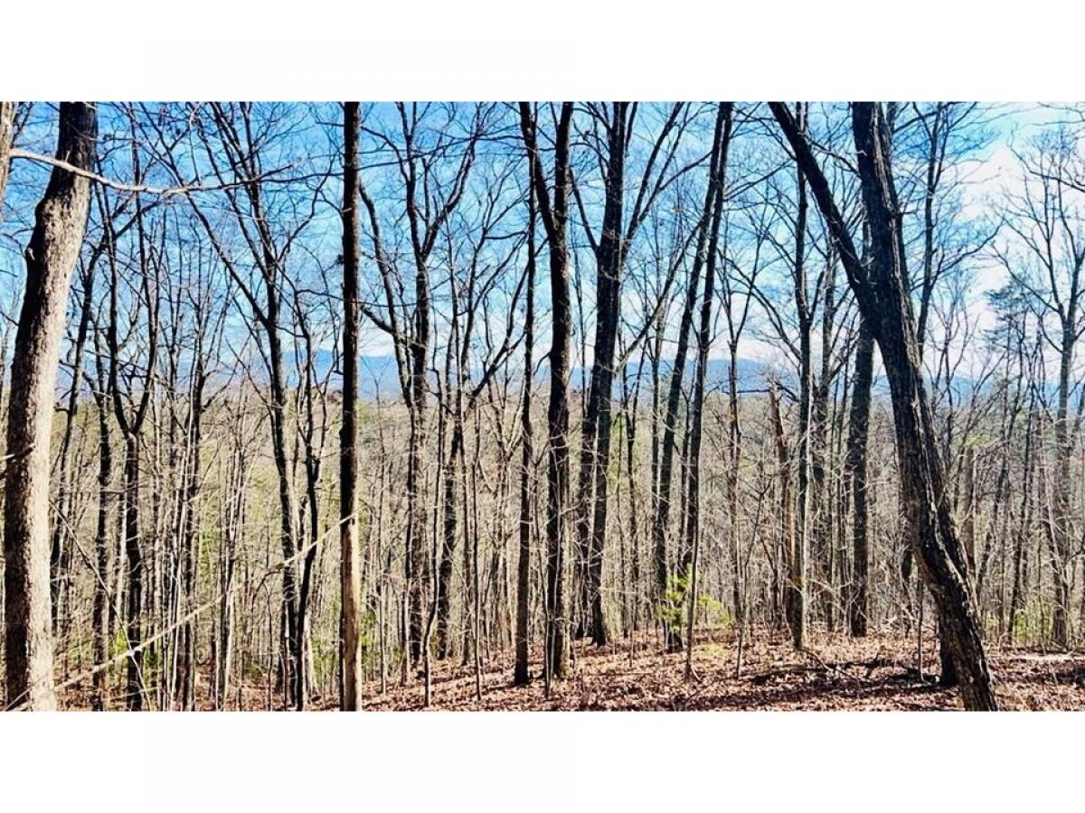 Picture of Residential Land For Sale in Sevierville, Tennessee, United States