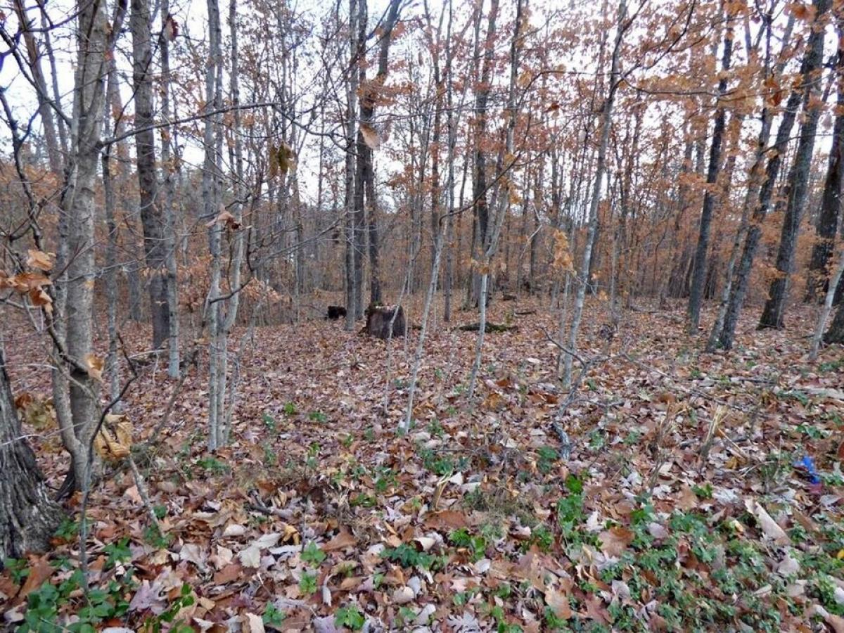 Picture of Home For Sale in Dandridge, Tennessee, United States