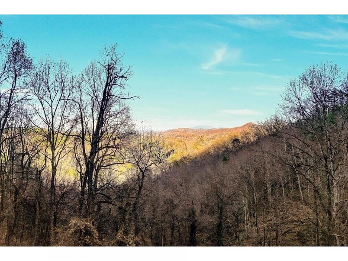 Picture of Residential Land For Sale in Sevierville, Tennessee, United States