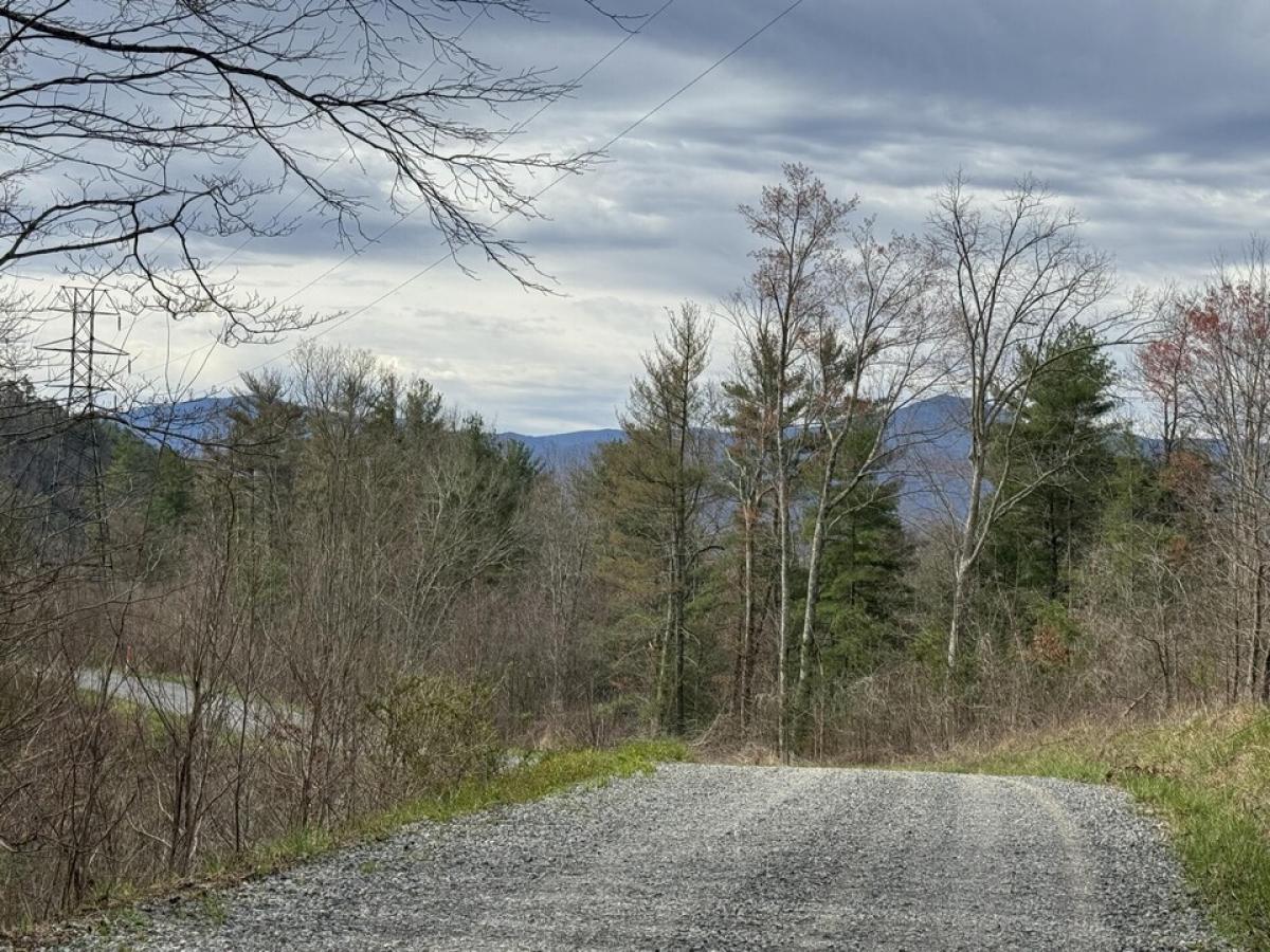 Picture of Residential Land For Sale in Hartford, Tennessee, United States