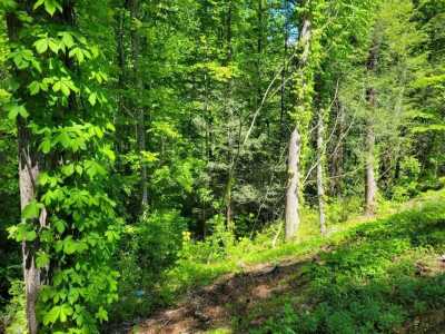 Residential Land For Sale in Gatlinburg, Tennessee