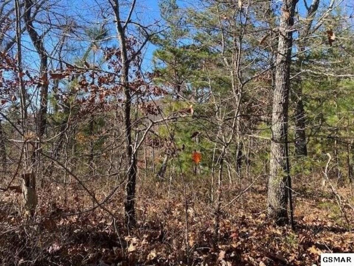 Picture of Residential Land For Rent in Sevierville, Tennessee, United States