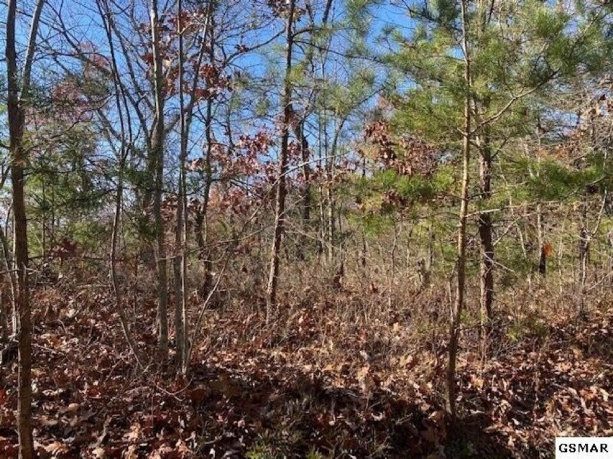 Picture of Residential Land For Rent in Sevierville, Tennessee, United States