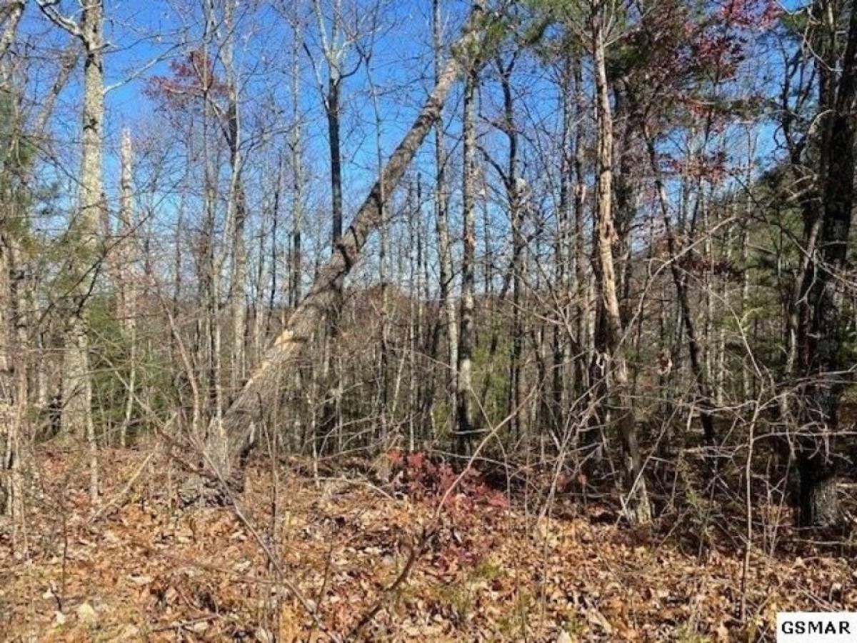 Picture of Residential Land For Rent in Sevierville, Tennessee, United States