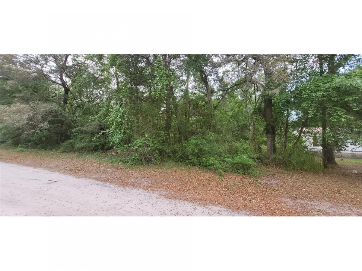 Picture of Residential Land For Sale in Fort Mc Coy, Florida, United States