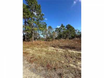 Residential Land For Sale in Citrus Springs, Florida