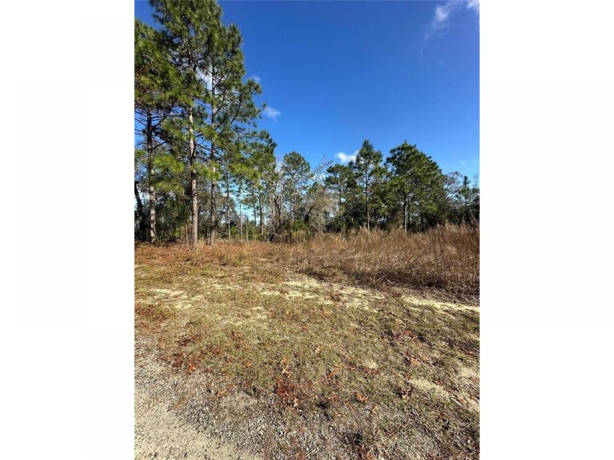 Picture of Residential Land For Sale in Citrus Springs, Florida, United States