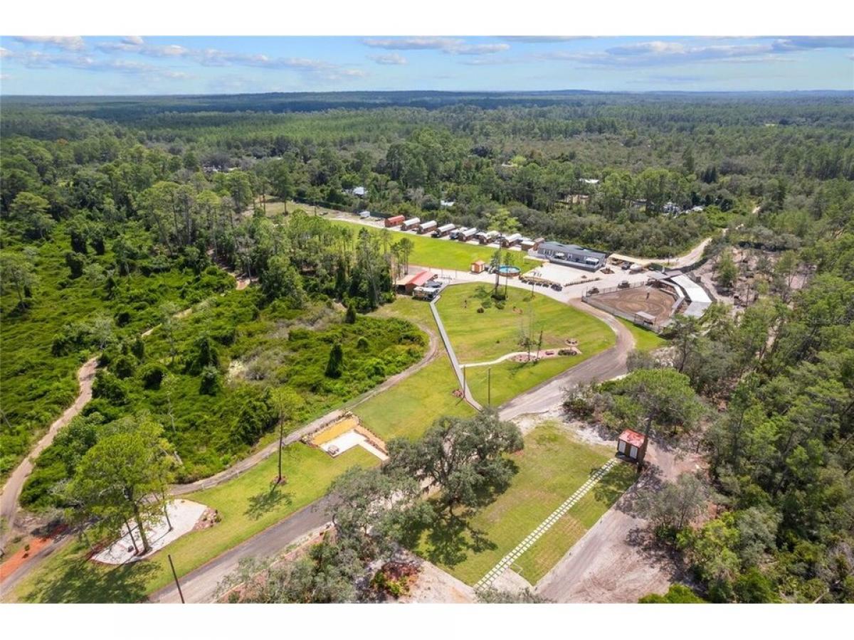 Picture of Home For Sale in Umatilla, Florida, United States