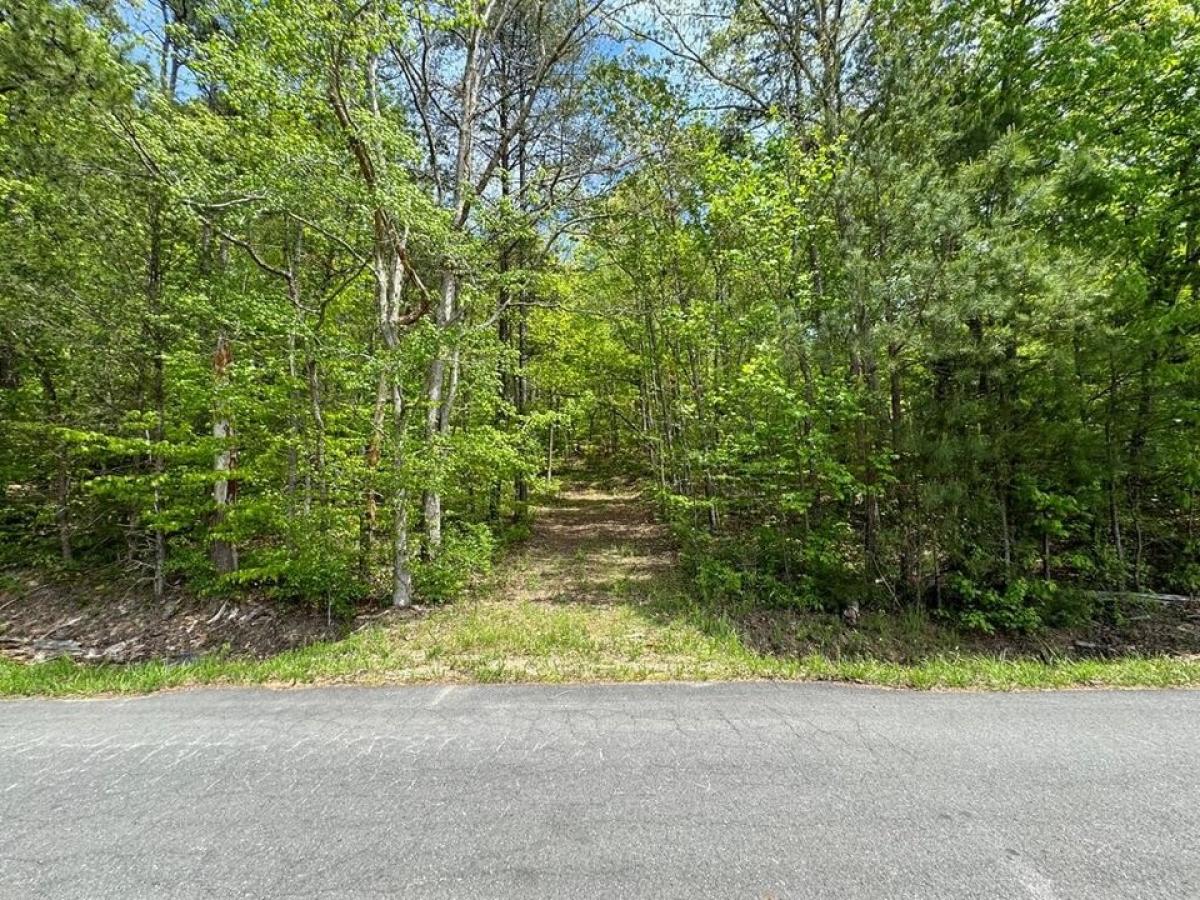 Picture of Residential Land For Sale in Rocky Face, Georgia, United States