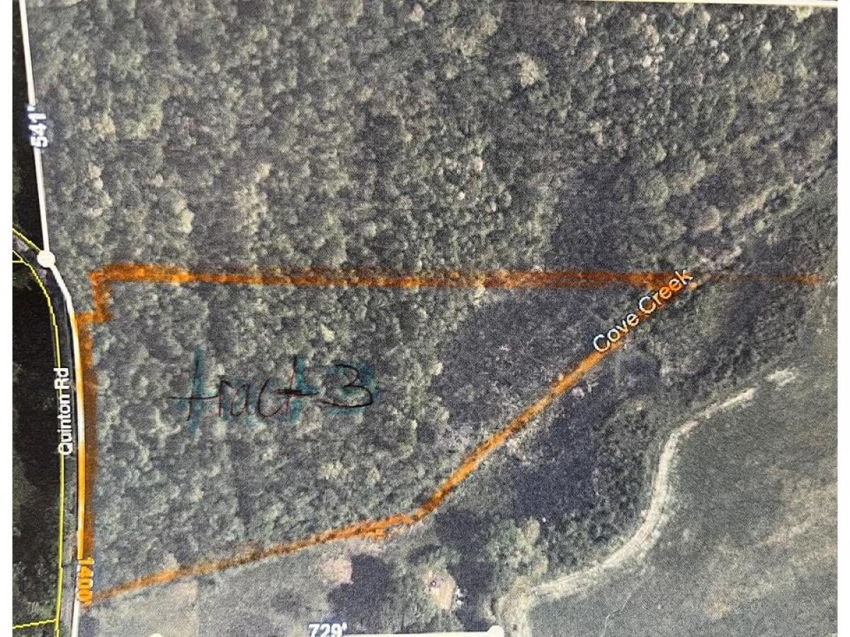 Picture of Residential Land For Sale in Rocky Face, Georgia, United States