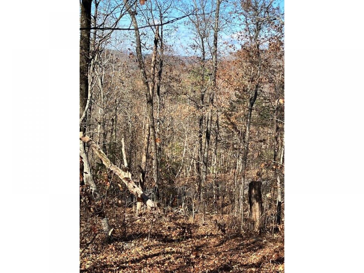 Picture of Residential Land For Sale in Rocky Face, Georgia, United States