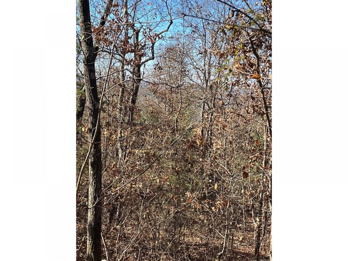 Picture of Residential Land For Sale in Rocky Face, Georgia, United States