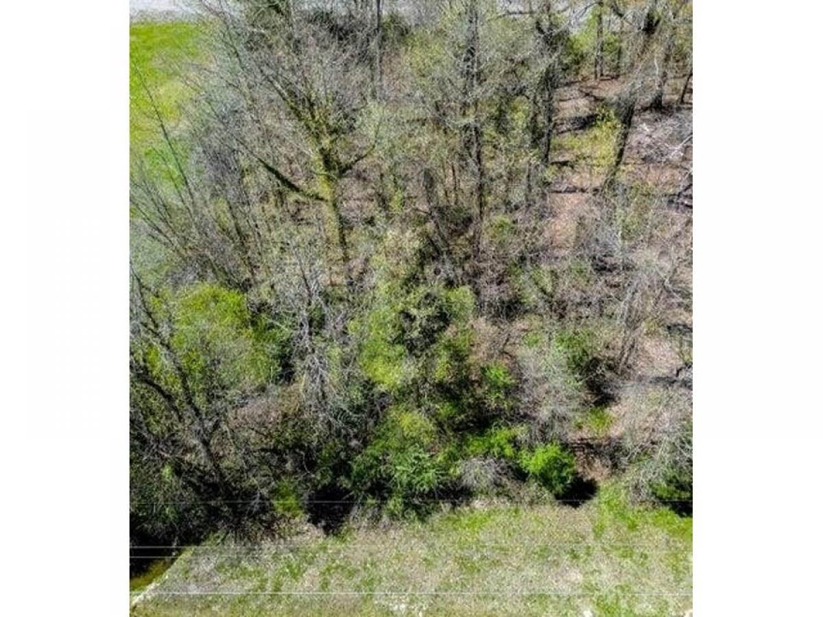 Picture of Residential Land For Sale in Cohutta, Georgia, United States