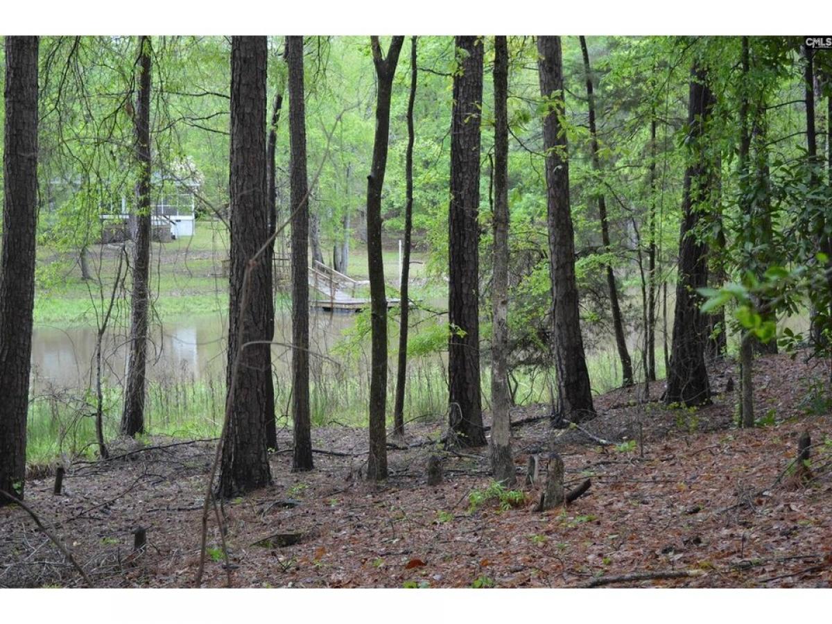 Picture of Residential Land For Sale in Camden, South Carolina, United States