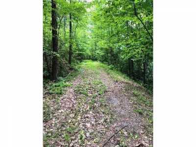 Residential Land For Sale in Mill Spring, North Carolina