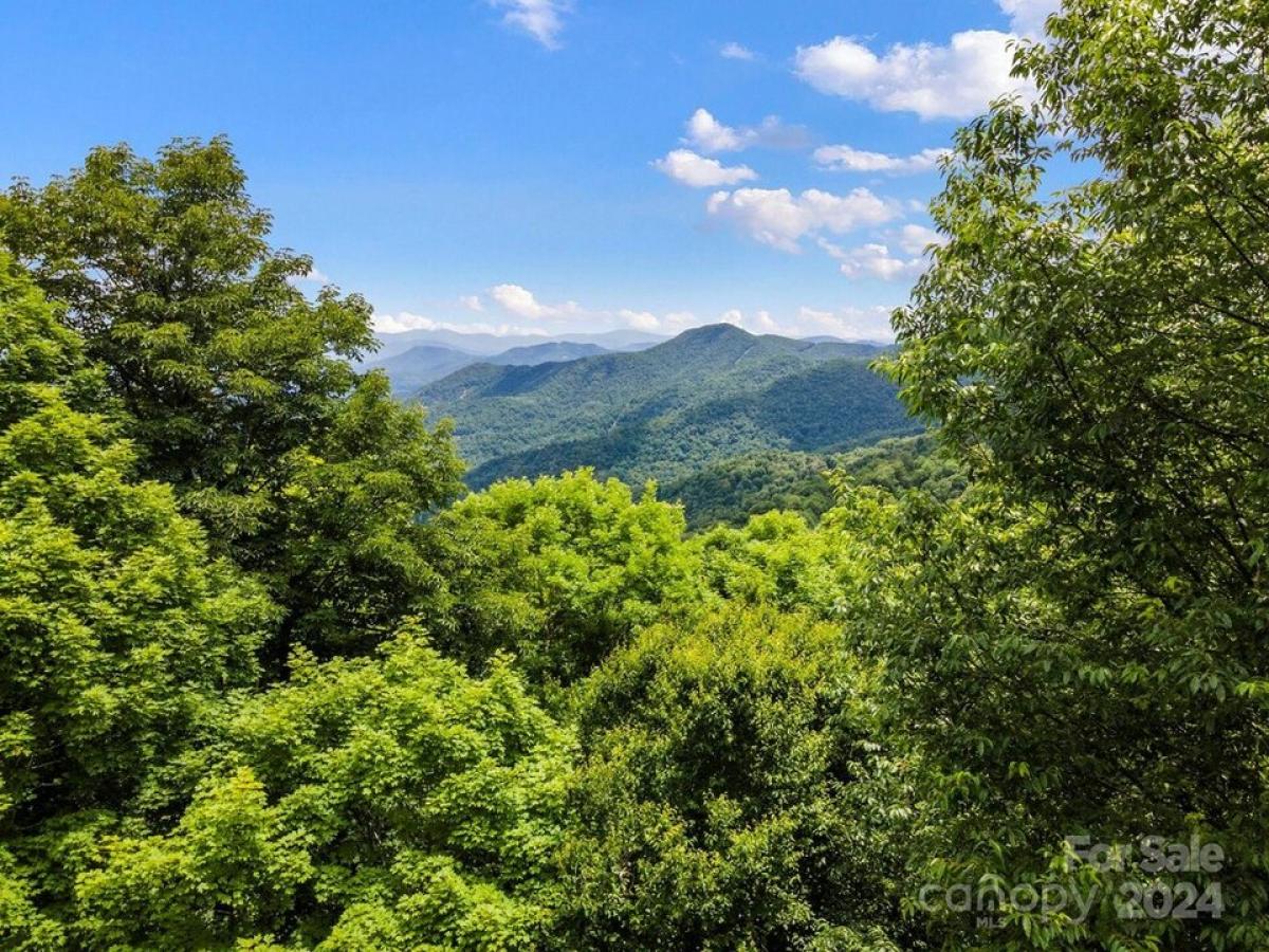 Picture of Residential Land For Sale in Mars Hill, North Carolina, United States