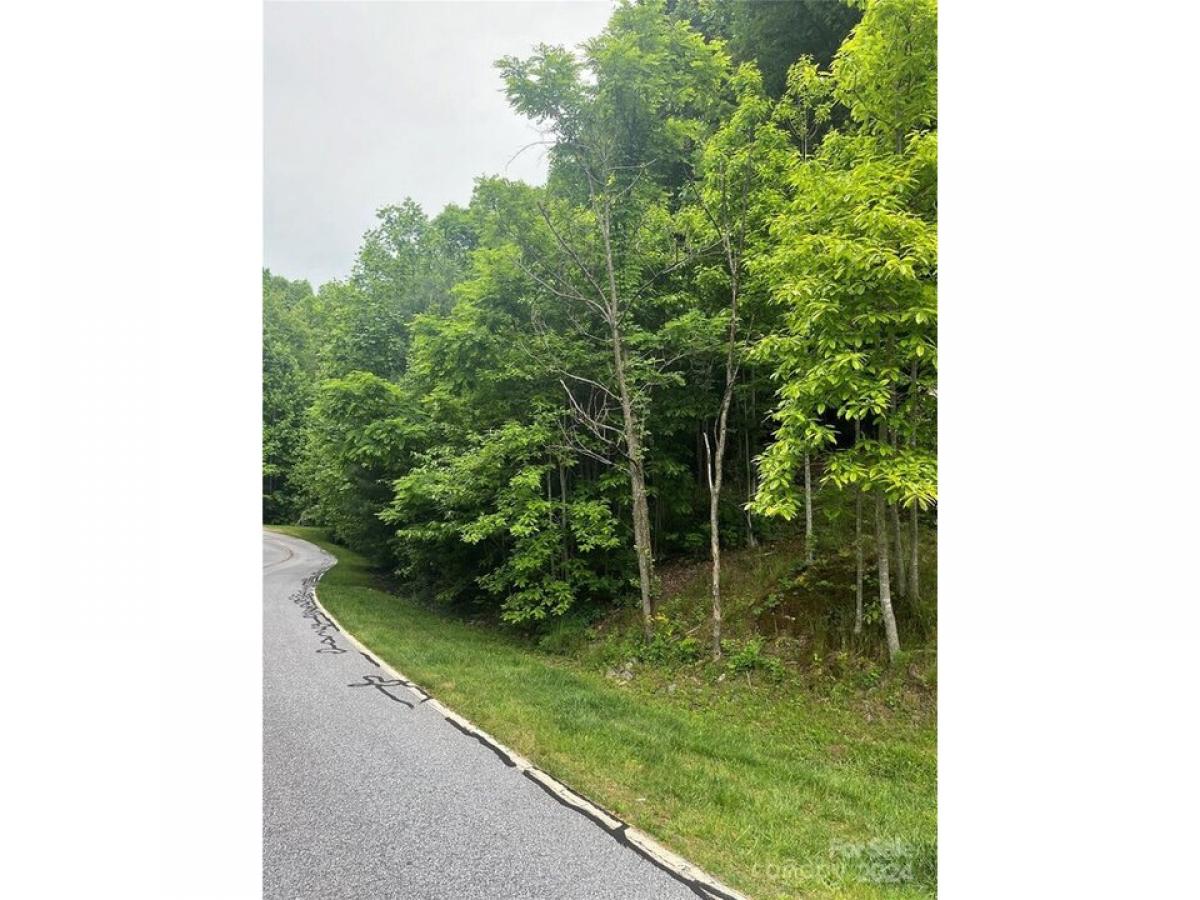 Picture of Residential Land For Sale in Flat Rock, North Carolina, United States