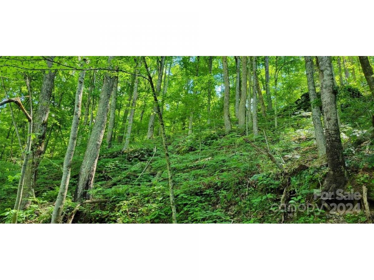 Picture of Residential Land For Rent in Mars Hill, North Carolina, United States