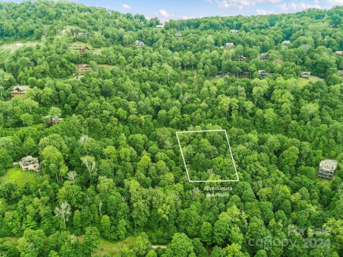 Picture of Residential Land For Sale in Mars Hill, North Carolina, United States