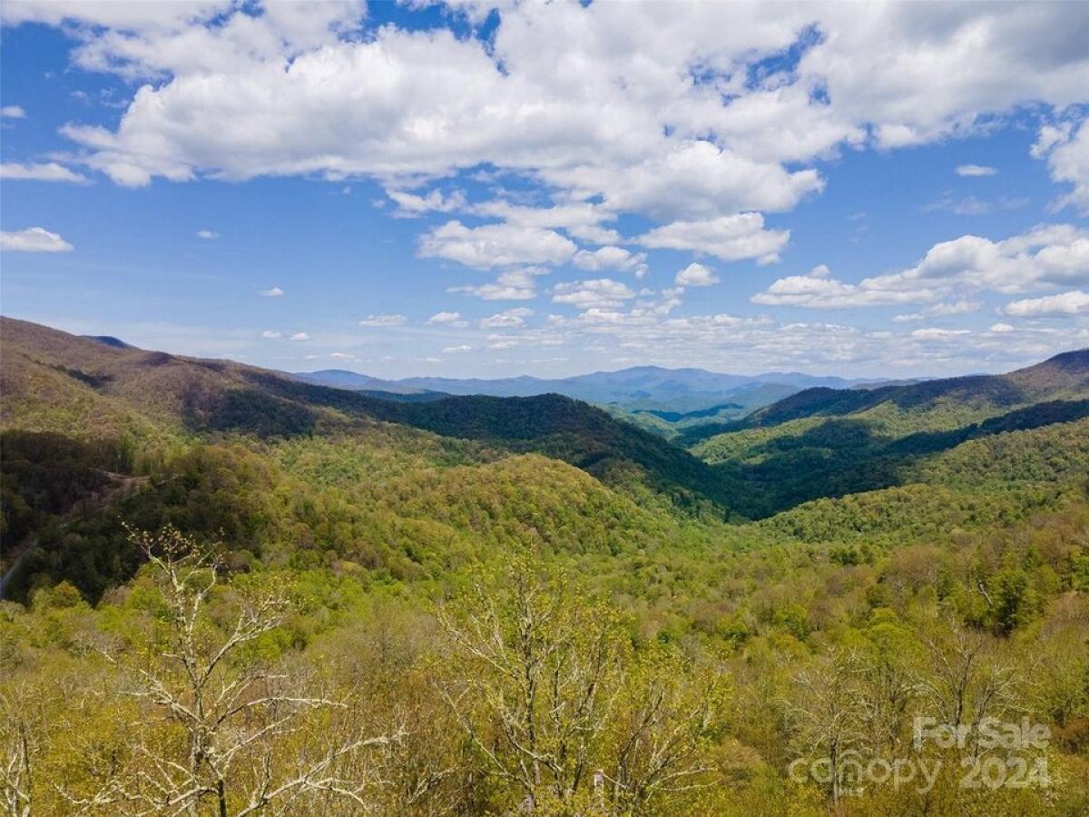 Picture of Residential Land For Sale in Mars Hill, North Carolina, United States