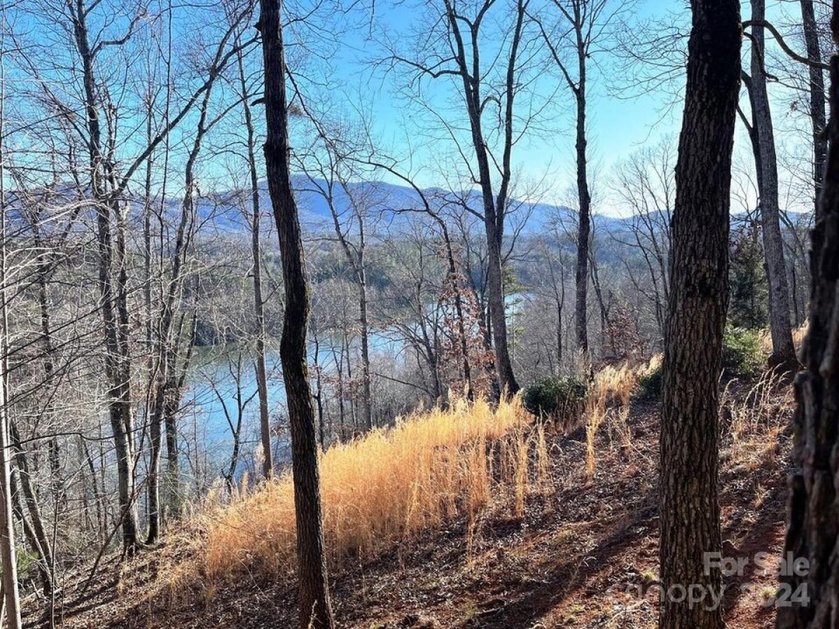 Picture of Residential Land For Sale in Mill Spring, North Carolina, United States