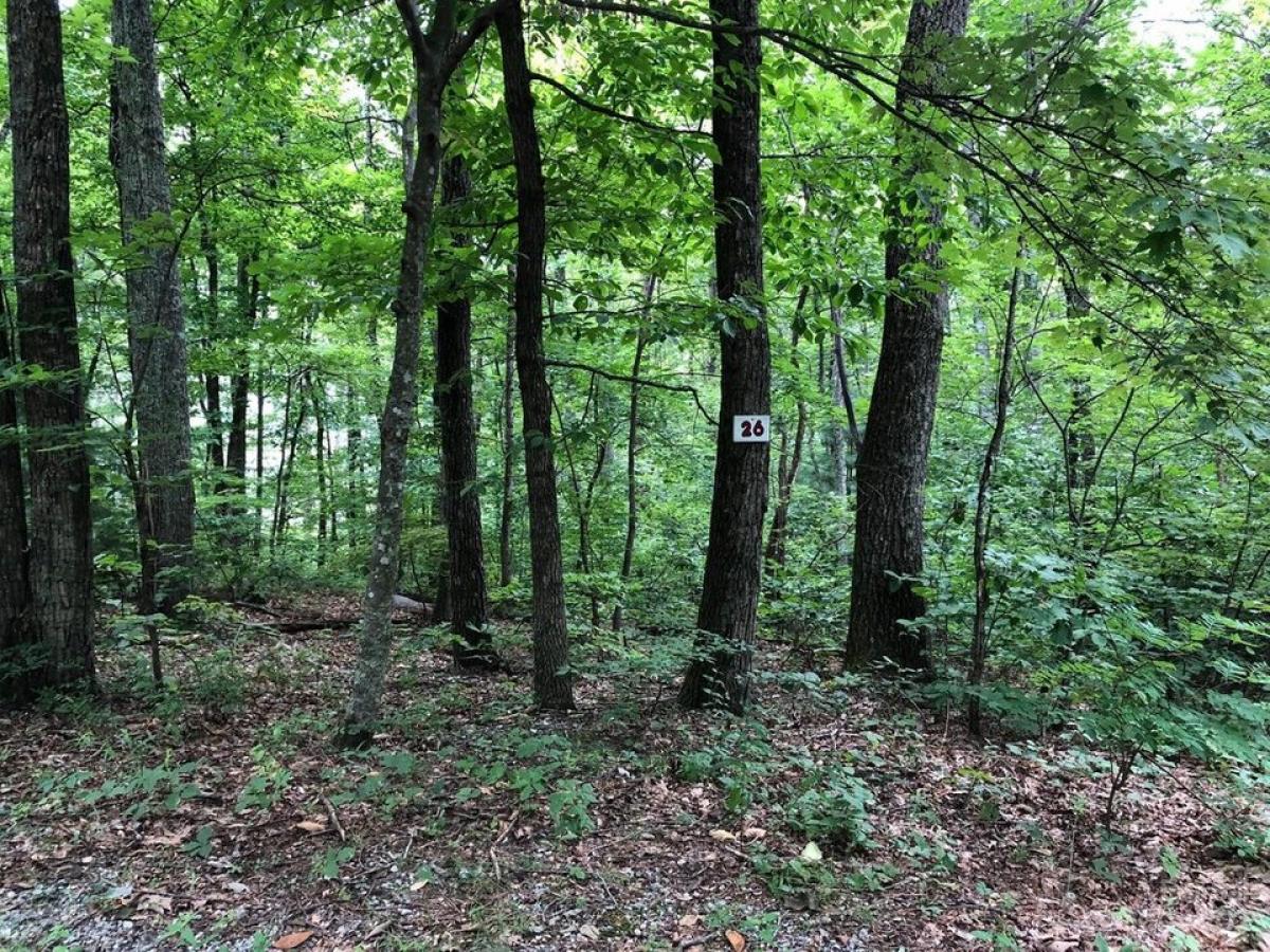 Picture of Residential Land For Sale in Hendersonville, North Carolina, United States