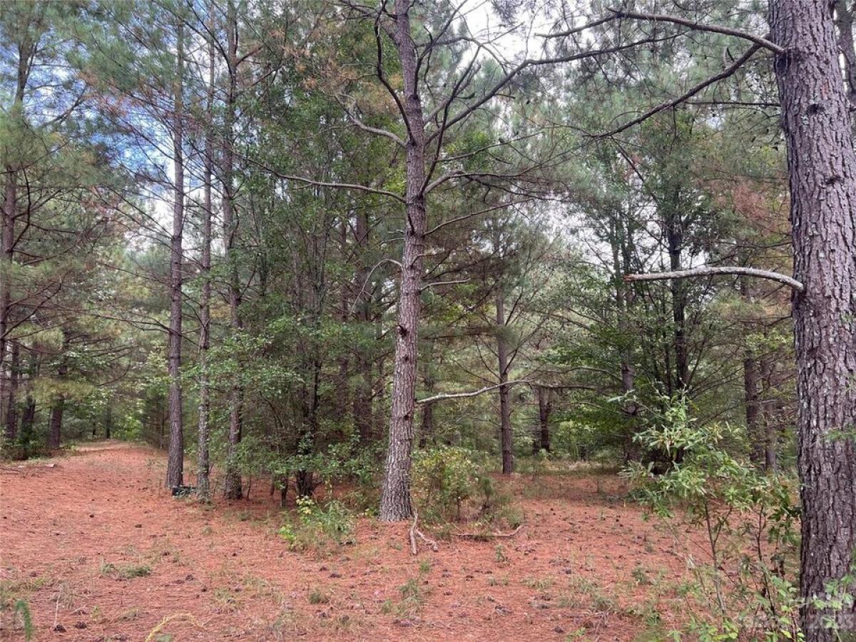 Picture of Residential Land For Sale in Ellenboro, North Carolina, United States