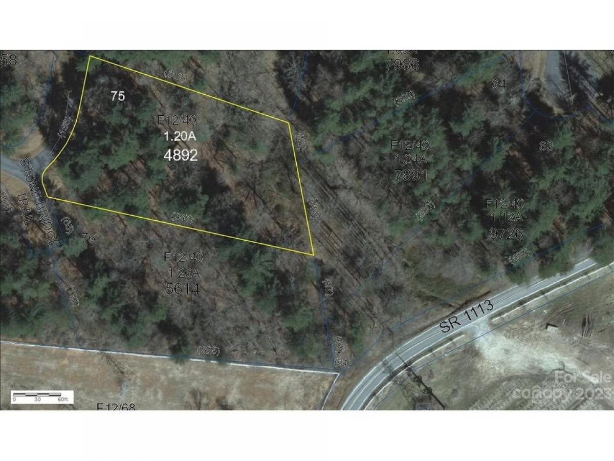 Picture of Residential Land For Sale in Brevard, North Carolina, United States