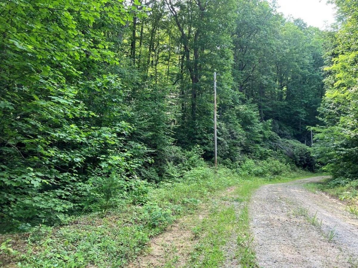 Picture of Residential Land For Sale in Lake Lure, North Carolina, United States