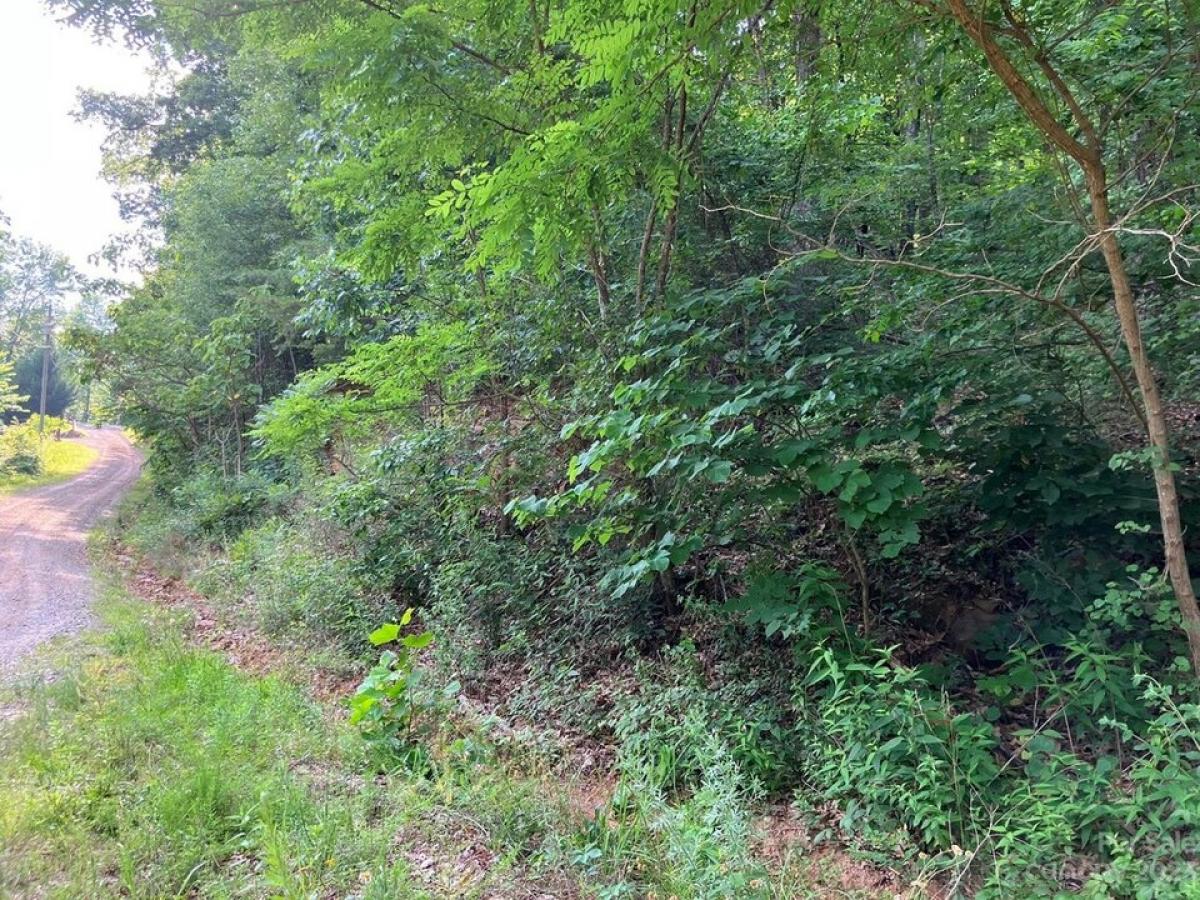 Picture of Residential Land For Sale in Lake Lure, North Carolina, United States