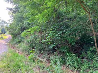 Residential Land For Sale in Lake Lure, North Carolina