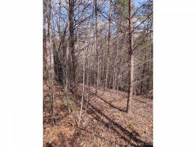 Residential Land For Sale in Marion, North Carolina