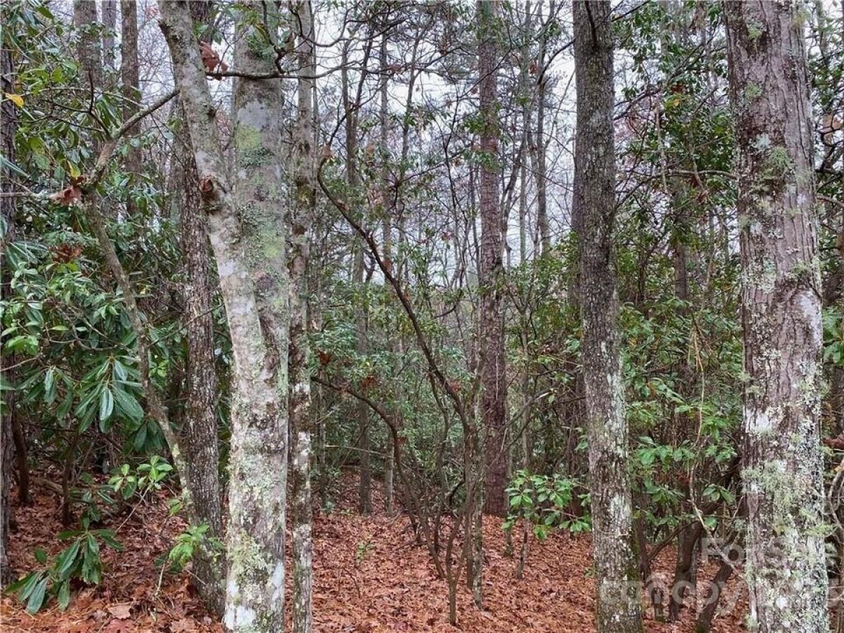 Picture of Residential Land For Sale in Brevard, North Carolina, United States