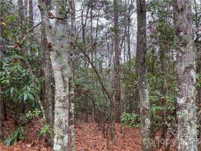 Residential Land For Sale in Brevard, North Carolina