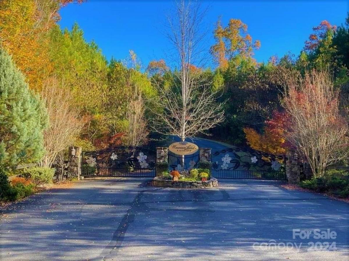 Picture of Residential Land For Sale in Mill Spring, North Carolina, United States