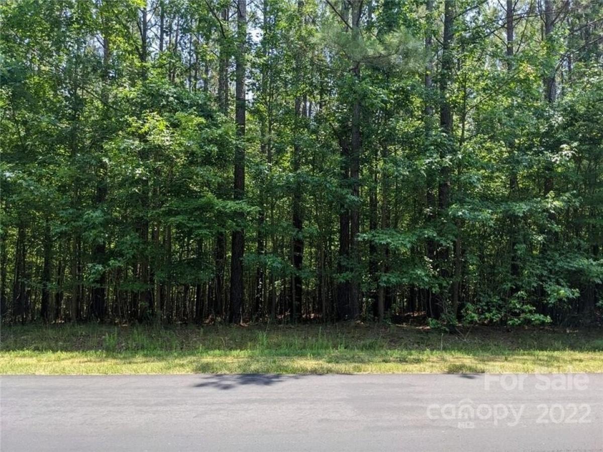 Picture of Residential Land For Sale in Mount Gilead, North Carolina, United States