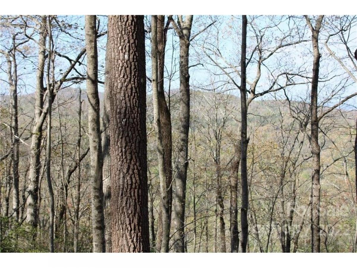 Picture of Residential Land For Sale in Rosman, North Carolina, United States