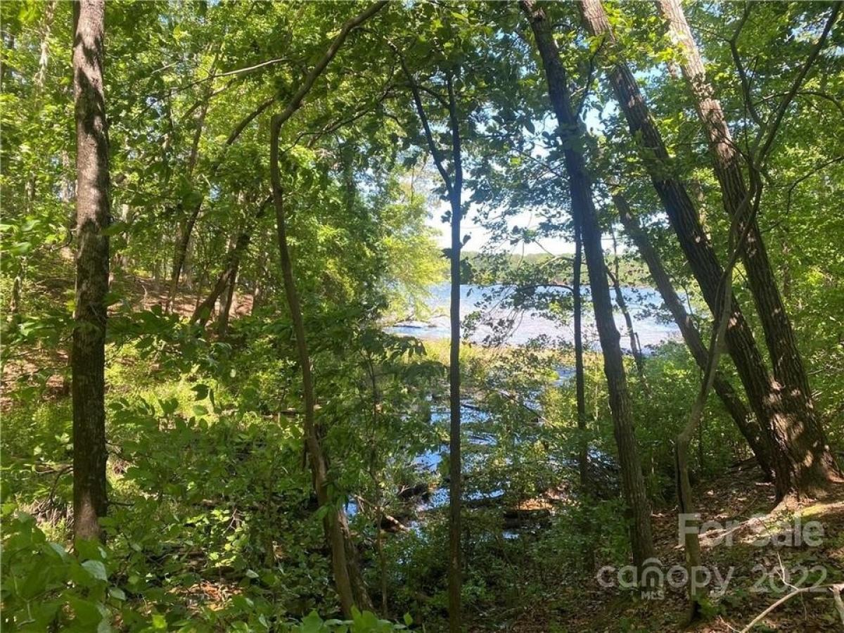 Picture of Residential Land For Sale in Norwood, North Carolina, United States