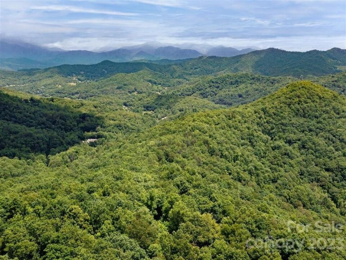 Picture of Residential Land For Sale in Sylva, North Carolina, United States