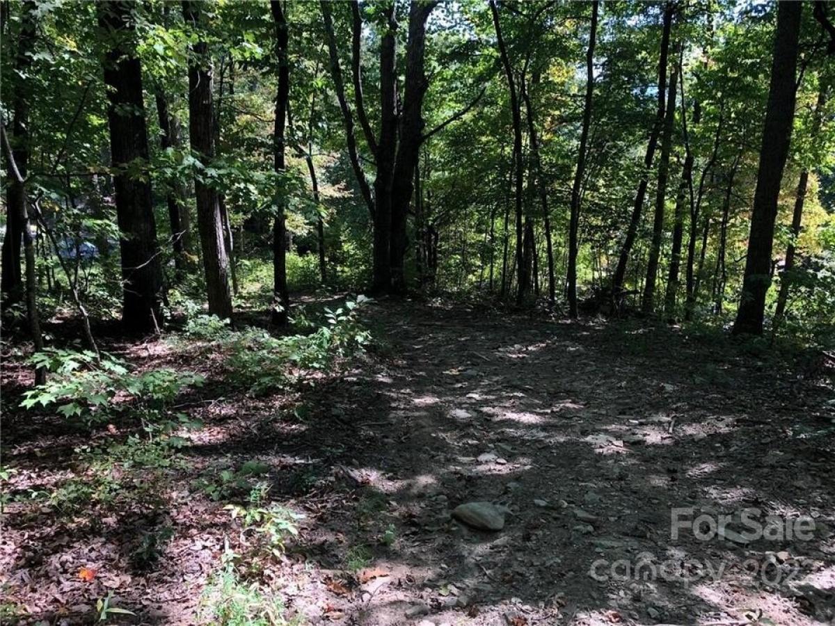 Picture of Residential Land For Sale in Hendersonville, North Carolina, United States