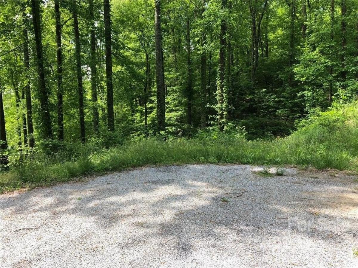 Picture of Residential Land For Sale in Hendersonville, North Carolina, United States