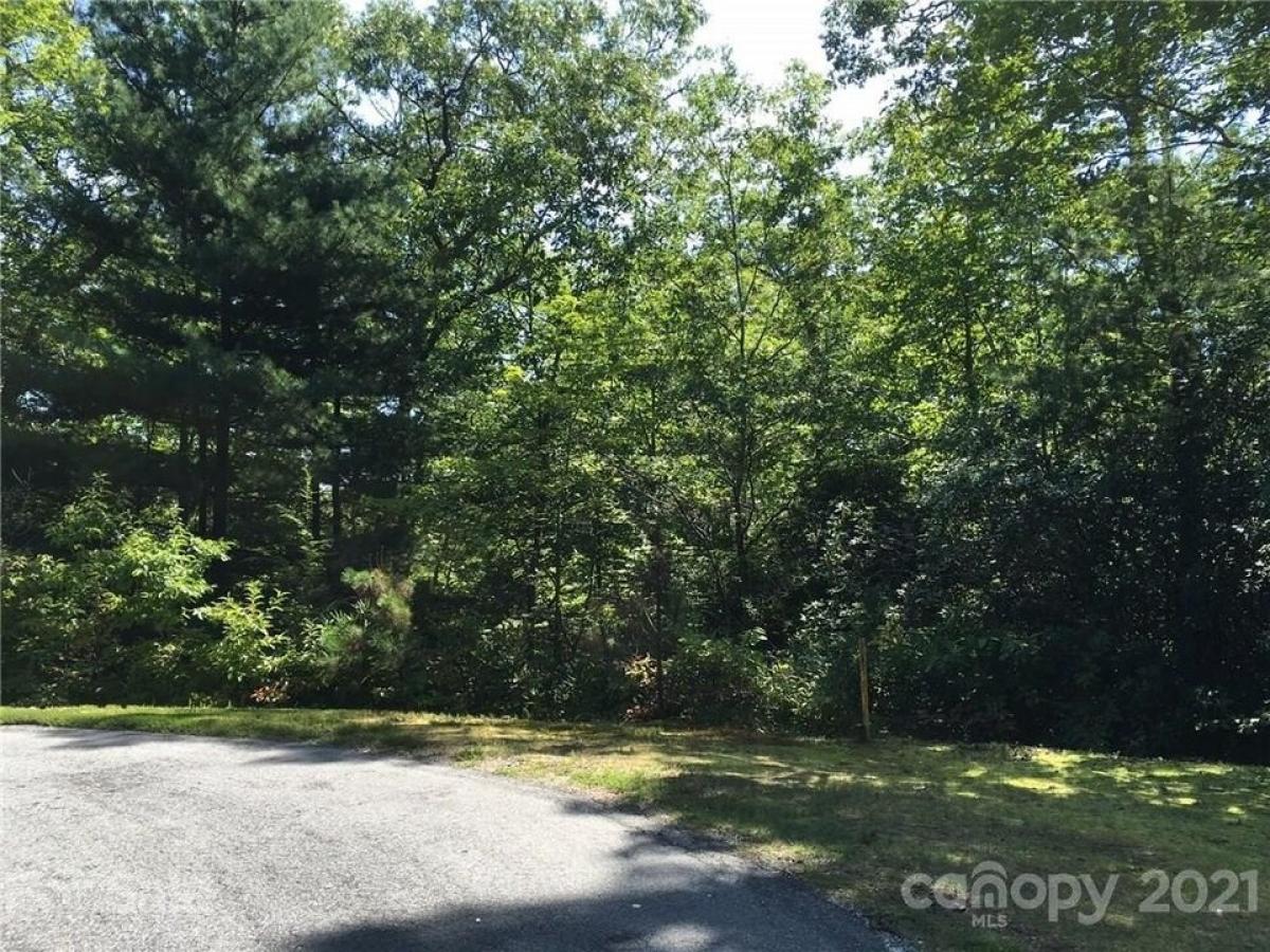 Picture of Residential Land For Sale in Brevard, North Carolina, United States