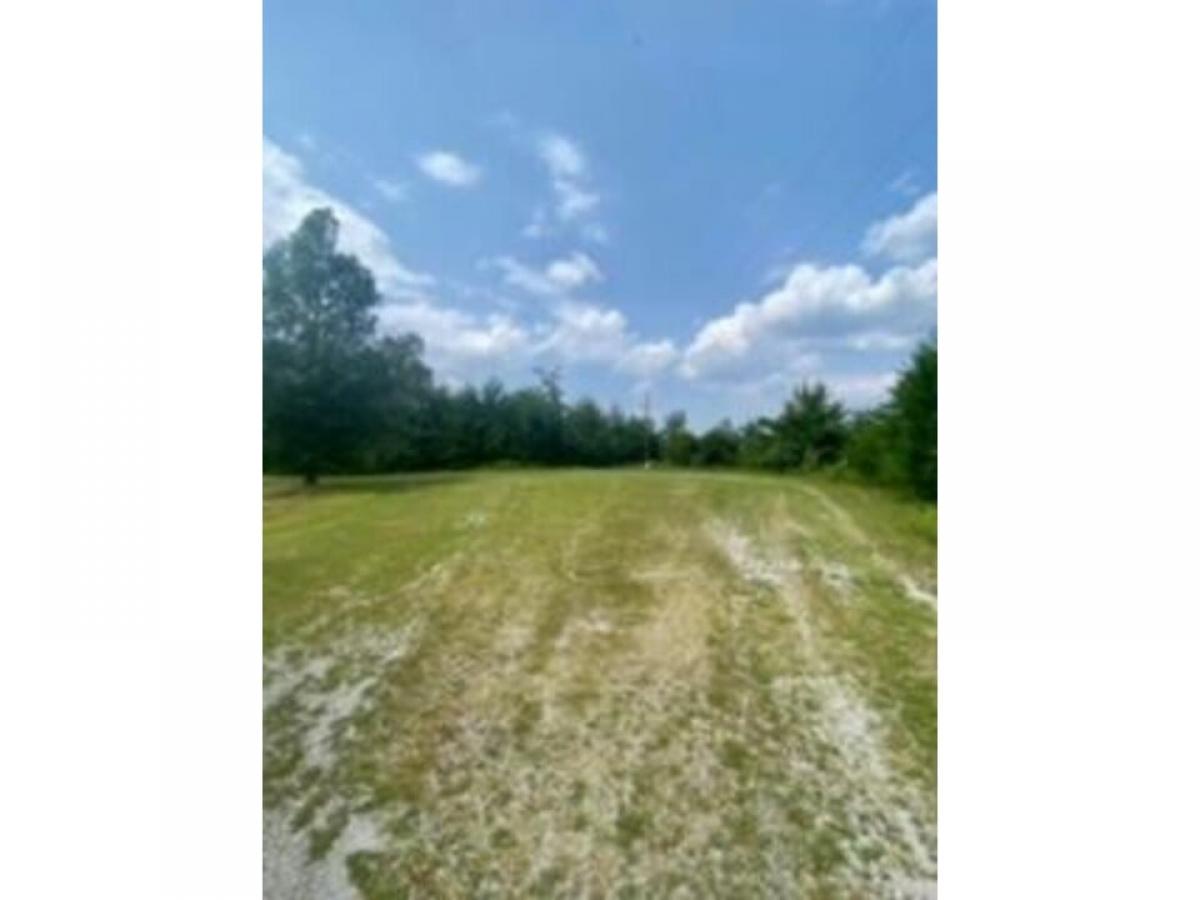 Picture of Residential Land For Sale in Trenton, Georgia, United States