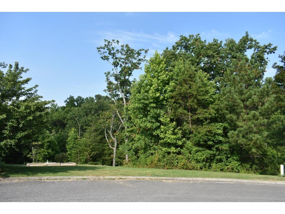 Picture of Residential Land For Sale in Flintstone, Georgia, United States