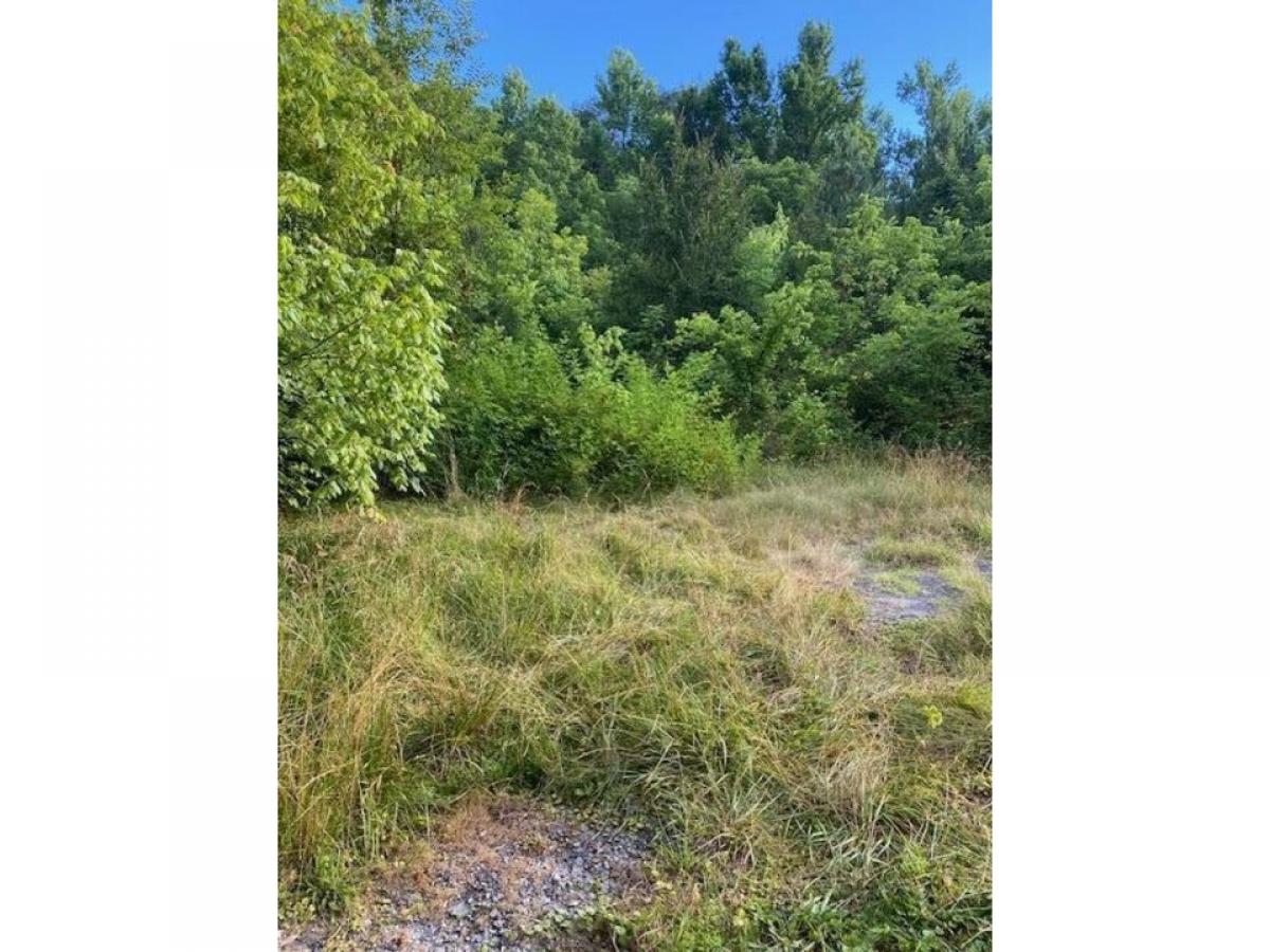 Picture of Residential Land For Sale in Rossville, Georgia, United States