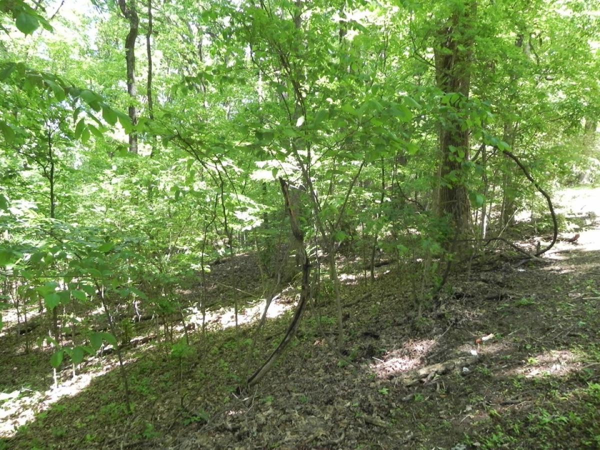 Picture of Residential Land For Sale in Hixson, Tennessee, United States